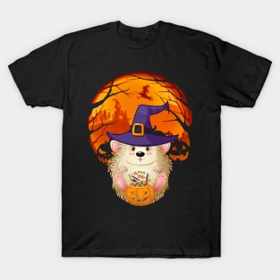 Porcupine pumpkin witch T-Shirt
